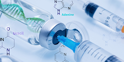 小核酸藥物化學(xué)合成平臺: siRNA