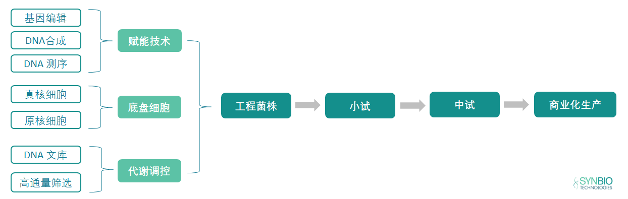 Synthetic Biology Product Development Routes